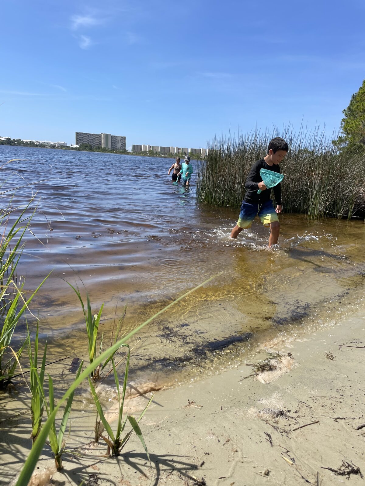 A coastal dune lake meeting the white sand of the Gulf shoreline