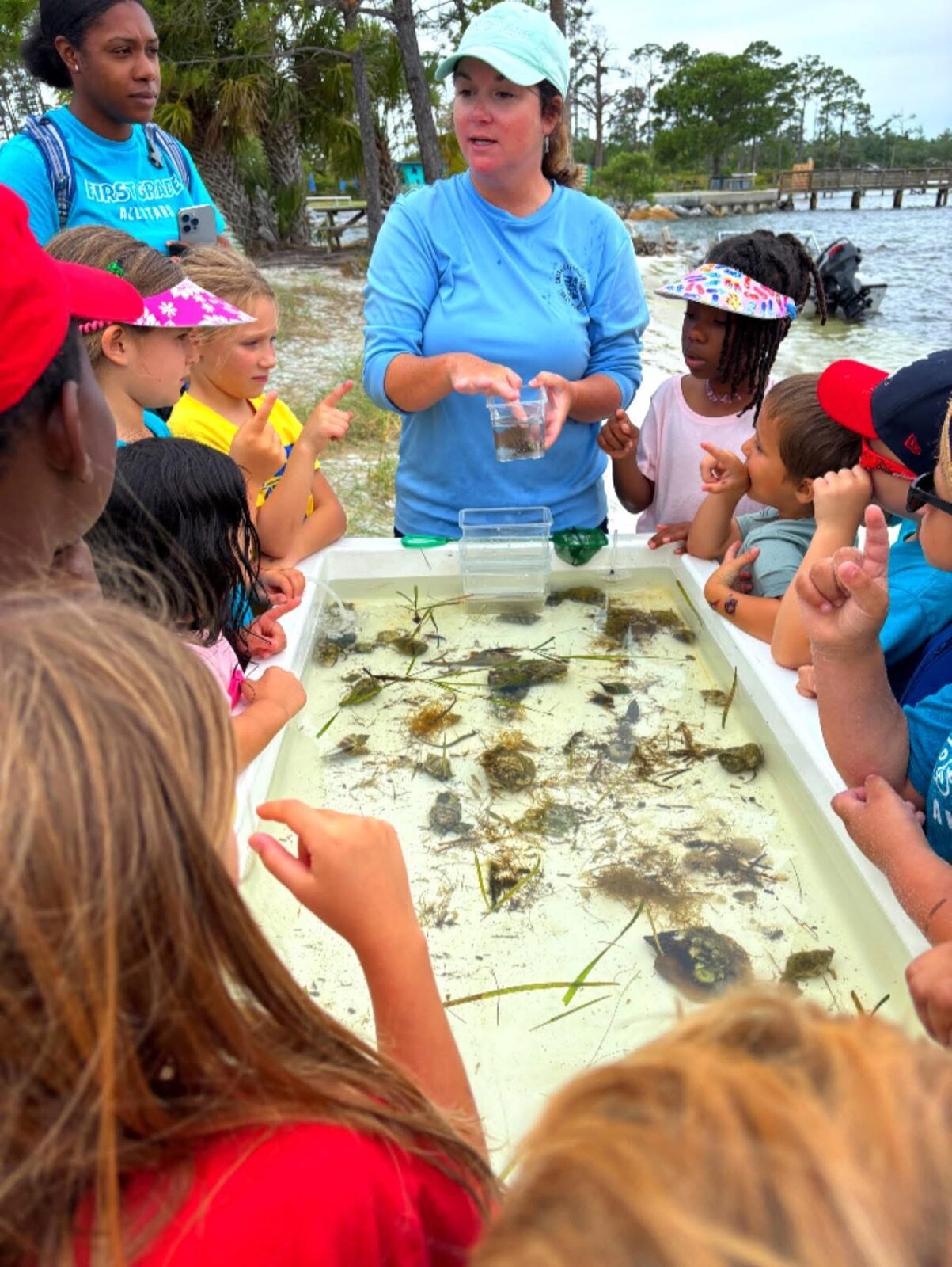 An educator showing students specimens in a shoreline touch tank
