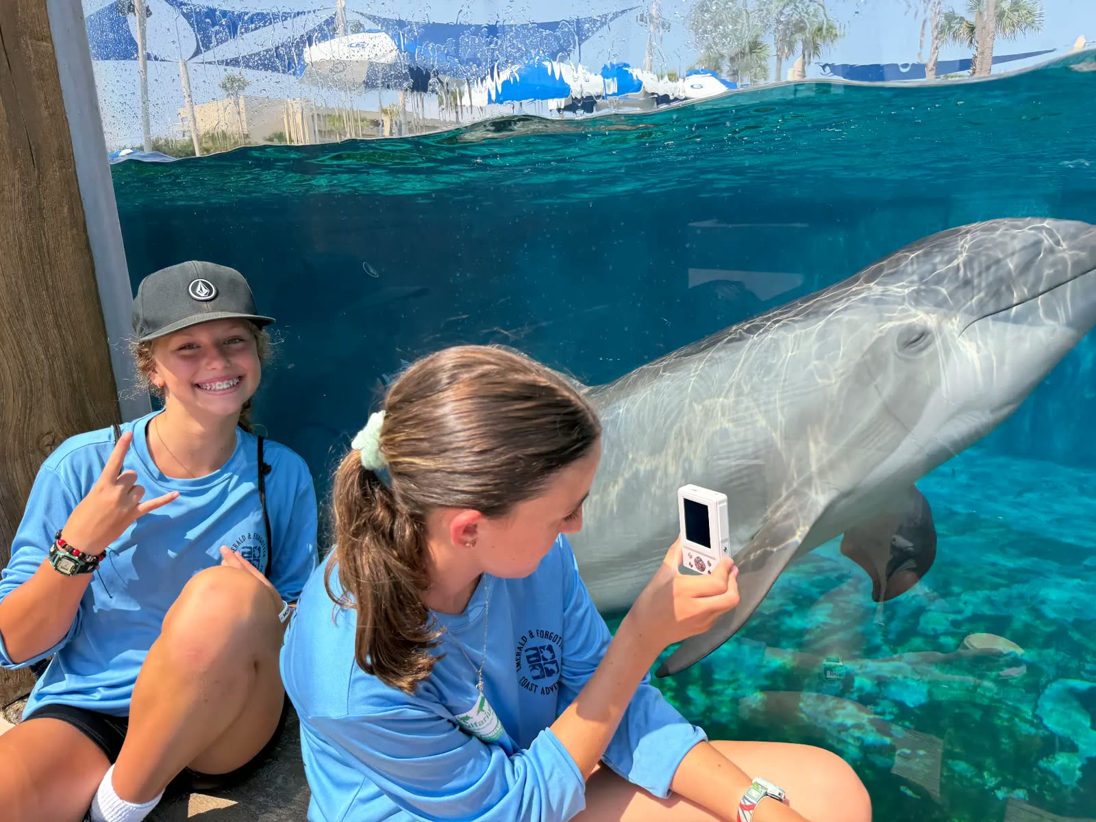 Campers photographing a dolphin through an aquarium window