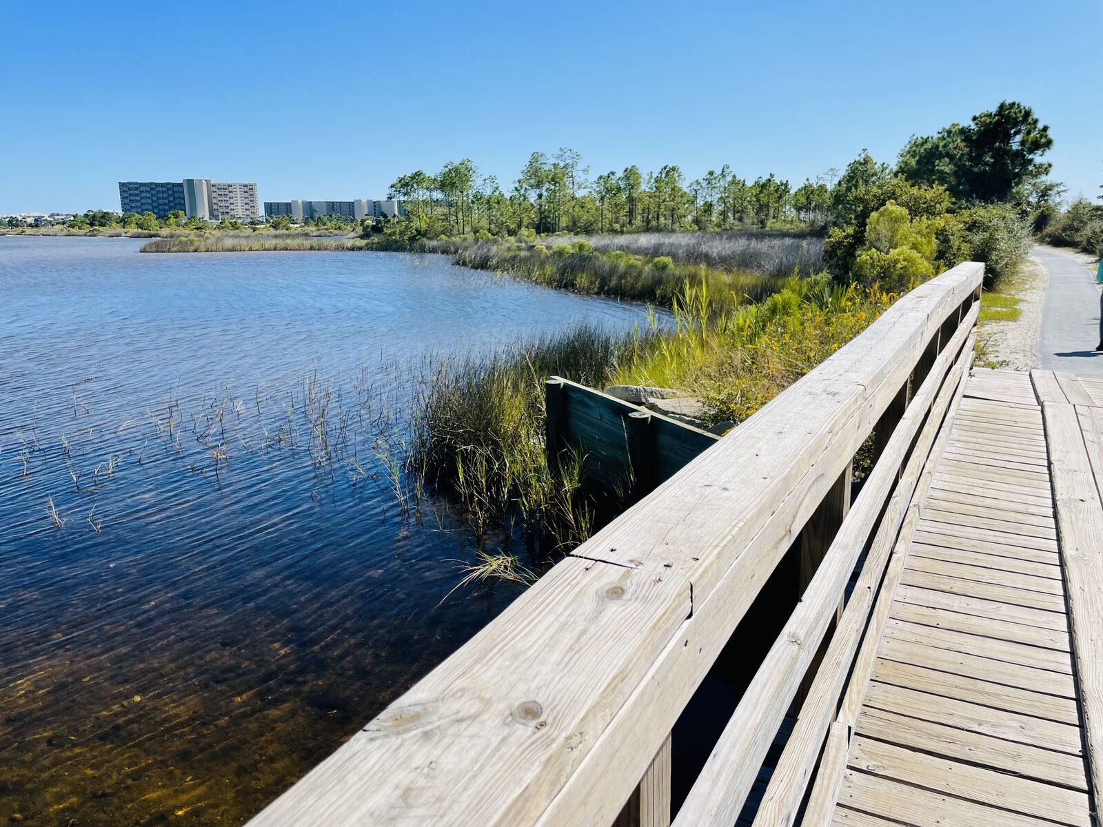 The boardwalk overlooking a calm coastal dune lake