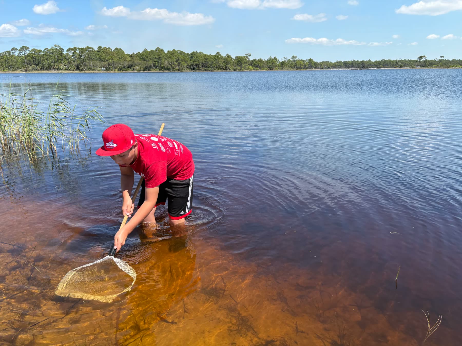 A man casting a net where a coastal dune lake meets the Gulf