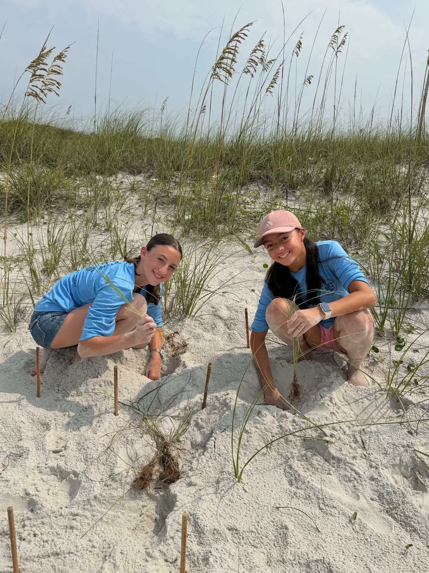 Campers planting sea oats to restore a coastal dune