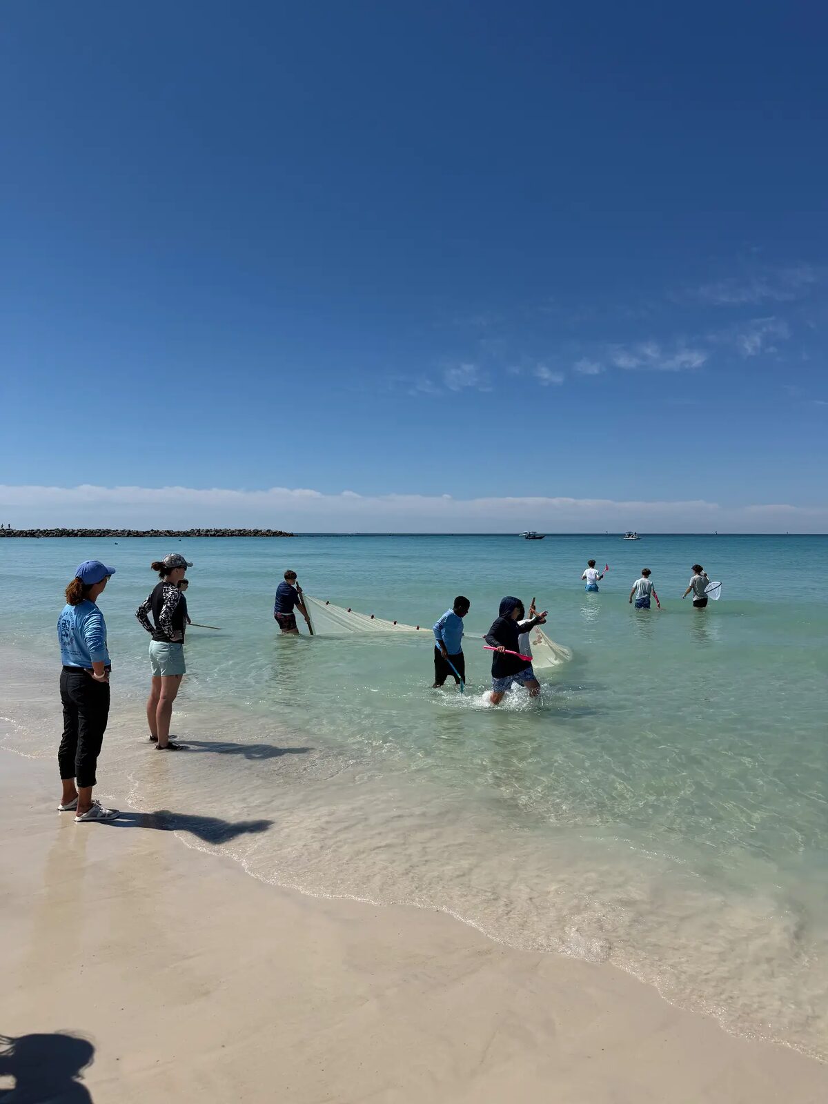 Students pulling a seine net through the clear shallow Gulf water