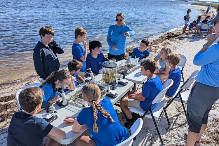 Students studying zooplankton under microscopes by the bay